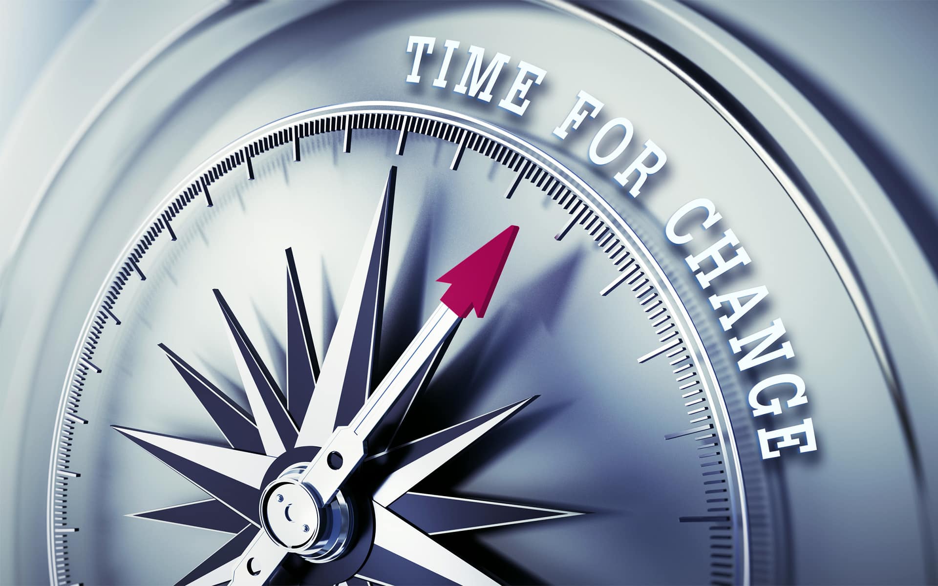 Understanding Common Squirrel Behaviors 2