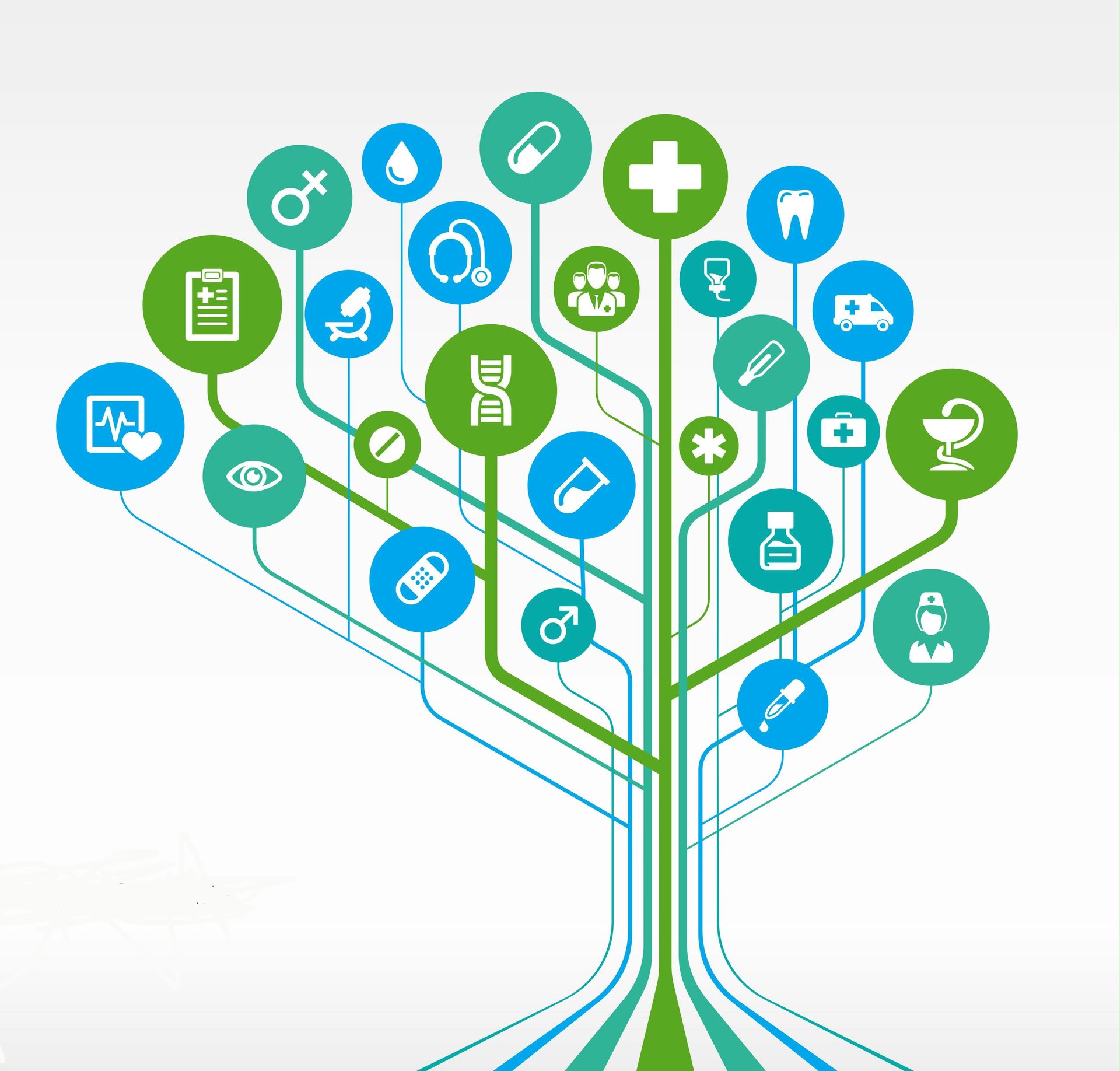 Definitions of Wellness and Lab Findings